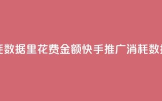 快手推广消耗数据里花费金额(快手推广消耗数据详解)