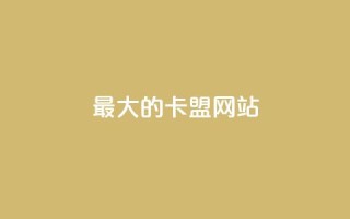 最大的卡盟网站,抖音钻石充值入口 - qq主页名片点赞1元十万 - 抖音充值iOS