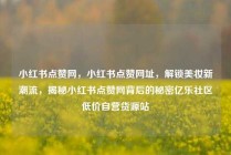 小红书点赞网，小红书点赞网址，解锁美妆新潮流，揭秘小红书点赞网背后的秘密亿乐社区低价自营货源站