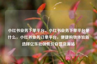 小红书业务下单平台，小红书业务下单平台是什么，小红书业务订单平台，便捷购物体验新选择亿乐社区低价自营货源站