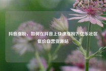 抖音涨粉，如何在抖音上快速涨粉？亿乐社区低价自营货源站