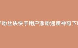 快手粉丝1块(快手用户涨粉速度神奇！)