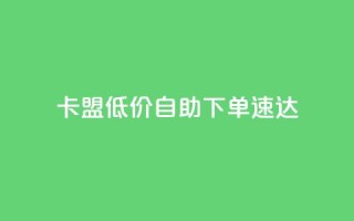 卡盟低价自助下单速达