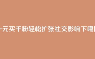 一元买千粉，轻松扩张社交影响