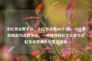 小红书点赞平台，小红书点赞100个1块，小红书的崛起与点赞文化，一种独特的社交分享方式亿乐社区低价自营货源站