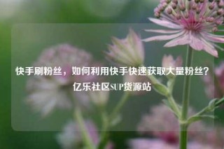 快手刷粉丝，如何利用快手快速获取大量粉丝？亿乐社区SUP货源站