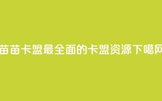 苗苗卡盟——最全面的卡盟资源