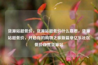 货源站超低价，货源站超低价什么意思，货源站超低价，开启你的购物之旅新篇章亿乐社区低价自营货源站