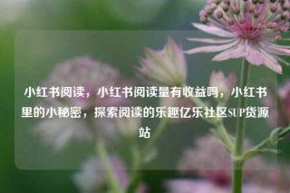小红书阅读，小红书阅读量有收益吗，小红书里的小秘密，探索阅读的乐趣亿乐社区SUP货源站