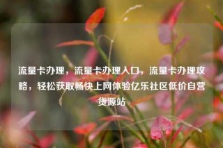 流量卡办理，流量卡办理入口，流量卡办理攻略，轻松获取畅快上网体验亿乐社区低价自营货源站