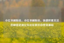 小红书刷粉丝，小红书刷粉丝，快速积累关注的秘密武器亿乐社区低价自营货源站