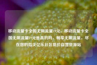 移动流量卡全国无限流量19元，移动流量卡全国无限流量19元是真的吗，畅享无限流量，尽在您的指尖亿乐社区低价自营货源站