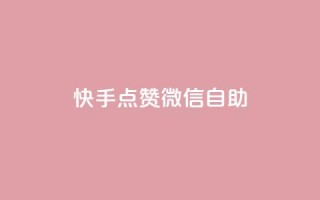 快手点赞微信自助,ks涨粉丝1元1000个粉丝 - 快手业务24小时下单平台有哪些 - 24小时qq空间自助