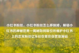小红书粉丝，小红书粉丝怎么移除掉，解锁小红书的神秘世界—揭秘如何吸引并维护小红书上的忠实粉丝亿乐社区低价自营货源站