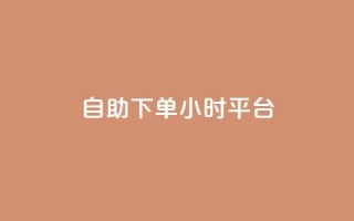 自助下单24小时平台Xhs,抖音快手点赞app接单软件 - ks单真人粉丝 - 抖音如何快速涨粉到1000