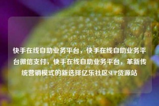 快手在线自助业务平台，快手在线自助业务平台微信支付，快手在线自助业务平台，革新传统营销模式的新选择亿乐社区SUP货源站