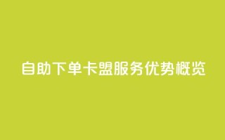 自助下单卡盟服务优势概览
