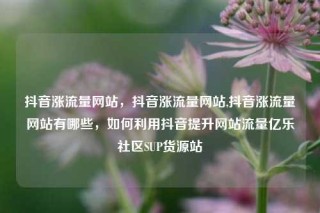 抖音涨流量网站，抖音涨流量网站,抖音涨流量网站有哪些，如何利用抖音提升网站流量亿乐社区SUP货源站
