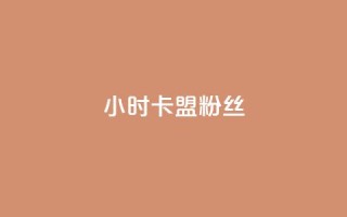 24小时卡盟粉丝,网红商城24小时自助 - 拼多多助力神器软件 - 拼多多助力人数购买链接