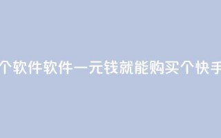 快手一块钱100个软件 - 软件：一元钱就能购买100个快手软件！~