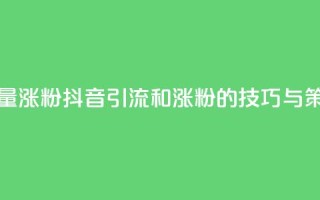 抖音怎么引流量涨粉 - 抖音引流和涨粉的技巧与策略解析~