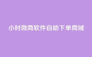 24小时微商软件自助下单商城,快手业务平台24小时在线 - 免费刷大量访客的网站 - QQ空间人气精灵