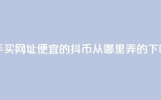 快手买call网址 - 便宜的抖币从哪里弄的