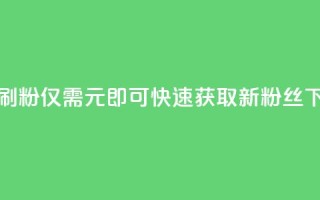 1元秒刷1000粉 - 仅需1元即可快速获取1000新粉丝!