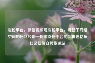 涨粉平台，微信视频号涨粉平台，崛起于网络空间的粉丝经济—探索涨粉平台的新机遇亿乐社区低价自营货源站