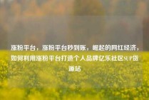 涨粉平台，涨粉平台秒到账，崛起的网红经济，如何利用涨粉平台打造个人品牌亿乐社区SUP货源站