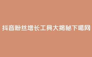 抖音粉丝增长工具大揭秘