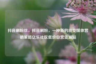 抖音刷粉丝，抖音刷粉，一种新的社交媒体营销策略亿乐社区低价自营货源站