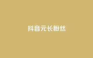 抖音1元长1000粉丝,点赞粉丝下单网站 - 粉丝交易平台哪里有 - qq充赞
