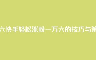 快手粉丝一万六 - 快手轻松涨粉一万六的技巧与策略分享!