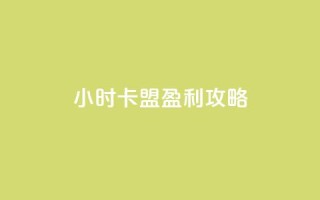 24小时卡盟盈利攻略