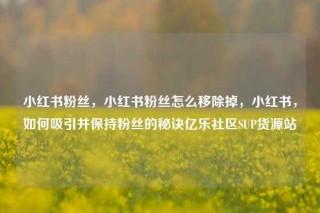 小红书粉丝，小红书粉丝怎么移除掉，小红书，如何吸引并保持粉丝的秘诀亿乐社区SUP货源站