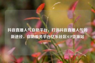 抖音直播人气自助平台，打造抖音直播人气的新途径，自助服务平台亿乐社区SUP货源站