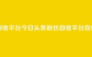今日头条粉丝回收平台(今日头条粉丝回收平台-你值得拥有！)