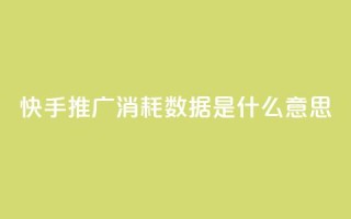 快手推广消耗数据是什么意思,ks直播业务平台怎么下 - qq24小时自助下单商城 - 口碑最好的美容仪