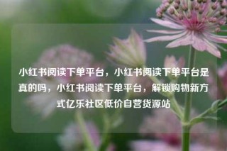 小红书阅读下单平台，小红书阅读下单平台是真的吗，小红书阅读下单平台，解锁购物新方式亿乐社区低价自营货源站