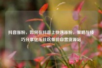 抖音涨粉，如何在抖音上快速涨粉，策略与技巧分享亿乐社区低价自营货源站