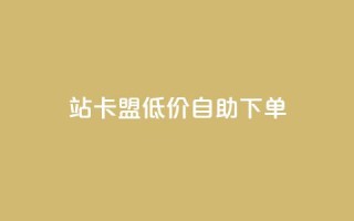 b站卡盟低价自助下单,辅助货源发卡网 - 拼多多如何卖助力 - 拼多多帮助力成功截图