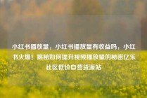 小红书播放量，小红书播放量有收益吗，小红书火爆！揭秘如何提升视频播放量的秘密亿乐社区低价自营货源站