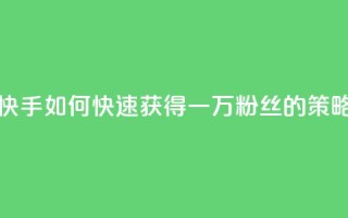 快手一万粉丝 - 快手如何快速获得一万粉丝的策略与技巧!