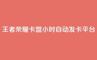 王者荣耀卡盟24小时自动发卡平台 - QQ空间秒工具下载