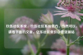 玖伍社区系统，玖伍社区系统官方，当然可以，请看下面的文章，亿乐社区低价自营货源站