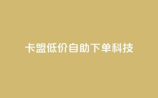 卡盟低价自助下单科技 - 卡盟提供便捷低价自助下单服务~