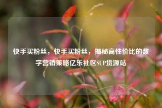 快手买粉丝，快手买粉丝，揭秘高性价比的数字营销策略亿乐社区SUP货源站