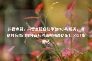 抖音点赞，抖音点赞自助平台24小时服务，揭秘抖音热门视频背后的高赞秘诀亿乐社区SUP货源站