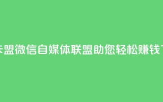 微信卡盟 - 微信自媒体联盟，助您轻松赚钱!